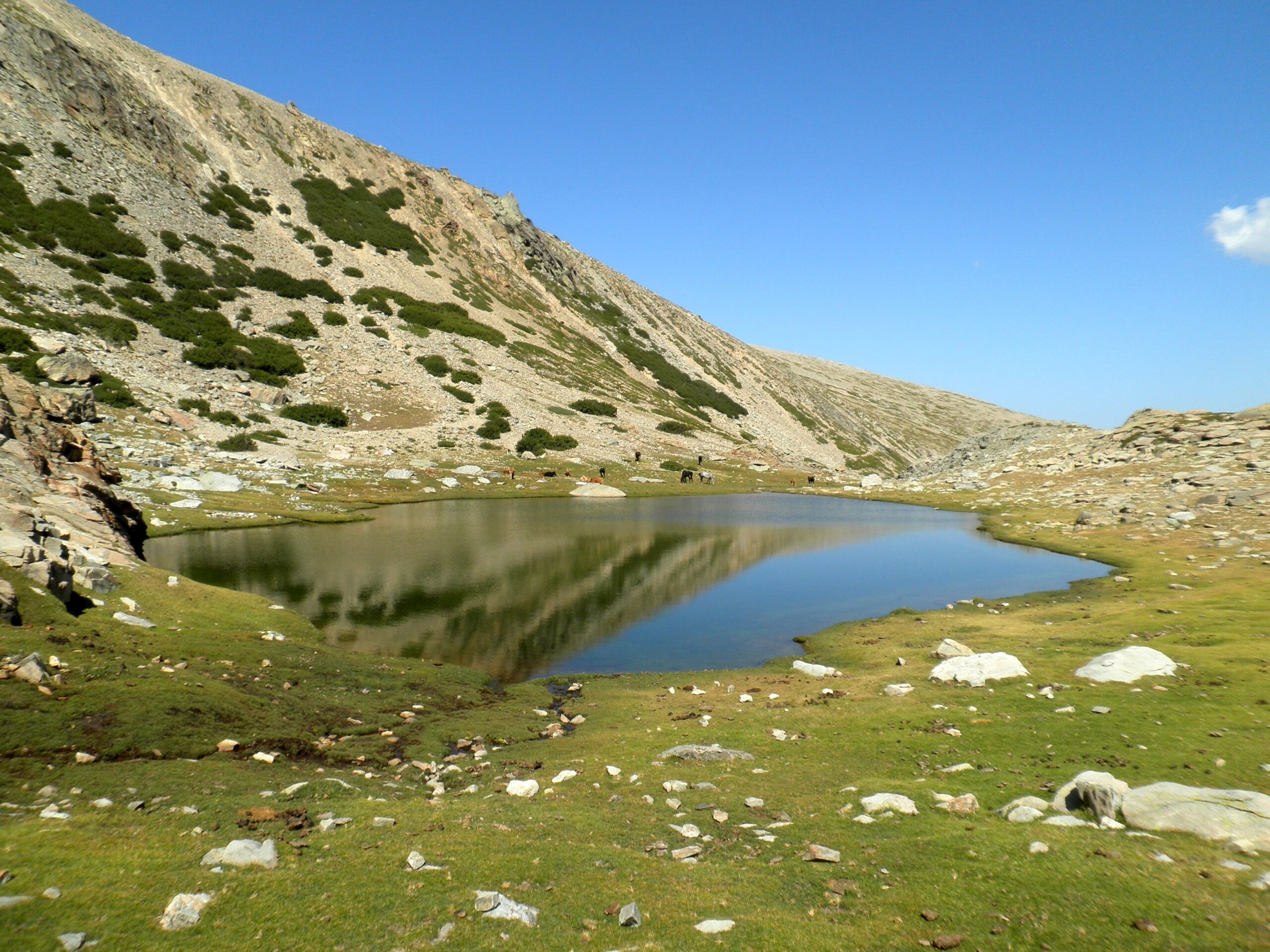 Lac de Ghjarghje Rosse, un des seuls lacs avec pozzines sur le massif rhyolithique du Cintu