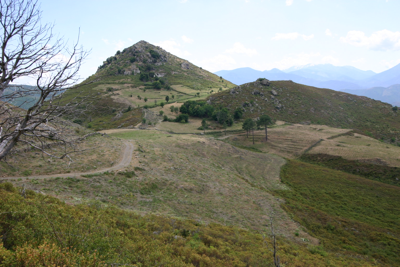 Le promontoire remarquable du col de Boziu avec la chapelle San Agostino en son sommet...un petit plateau au niveau du col est traité en prairies et terrasses qui rompt la monotonie de la végétation environnante